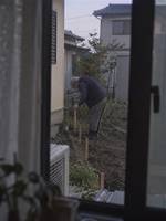 毎日1センチ狭くなる庭