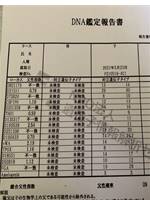 三億円を迫った夫と偽造DNA